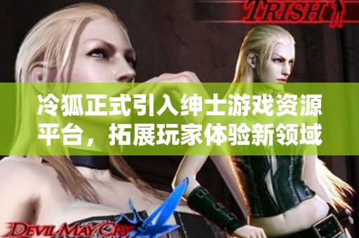 冷狐正式引入绅士游戏资源平台，拓展玩家体验新领域