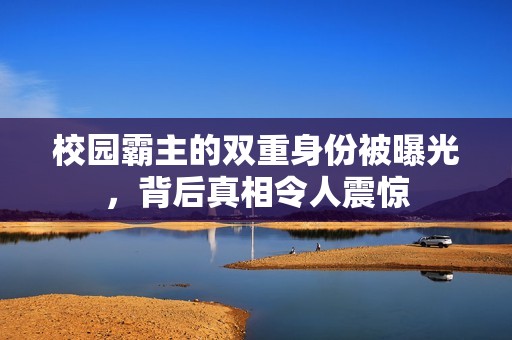 校园霸主的双重身份被曝光，背后真相令人震惊