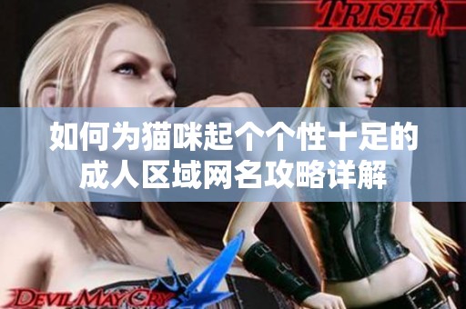 如何为猫咪起个个性十足的成人区域网名攻略详解