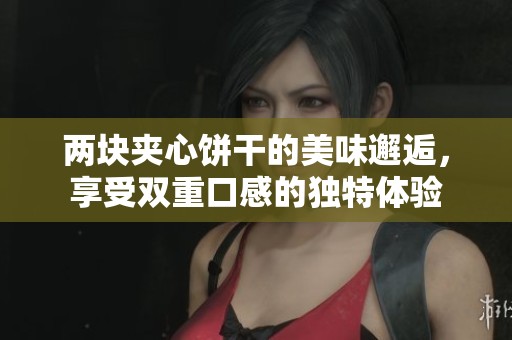 两块夹心饼干的美味邂逅，享受双重口感的独特体验