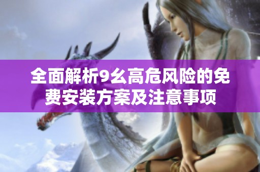 全面解析9幺高危风险的免费安装方案及注意事项