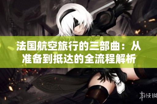 法国航空旅行的三部曲：从准备到抵达的全流程解析
