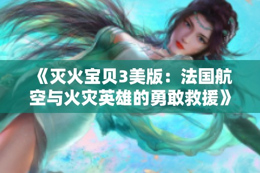 《灭火宝贝3美版：法国航空与火灾英雄的勇敢救援》