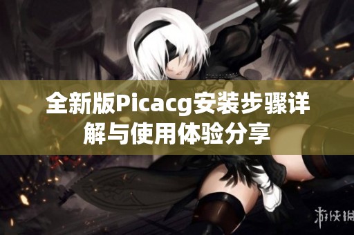 全新版Picacg安装步骤详解与使用体验分享