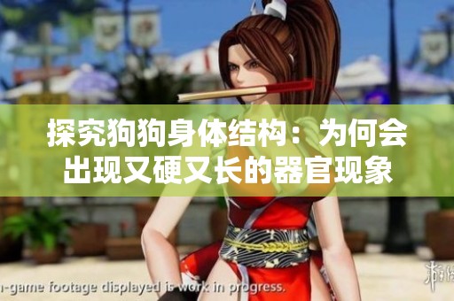 探究狗狗身体结构：为何会出现又硬又长的器官现象