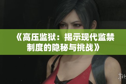 《高压监狱：揭示现代监禁制度的隐秘与挑战》