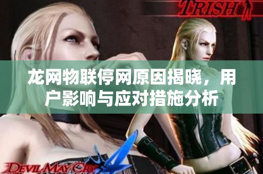龙网物联停网原因揭晓，用户影响与应对措施分析